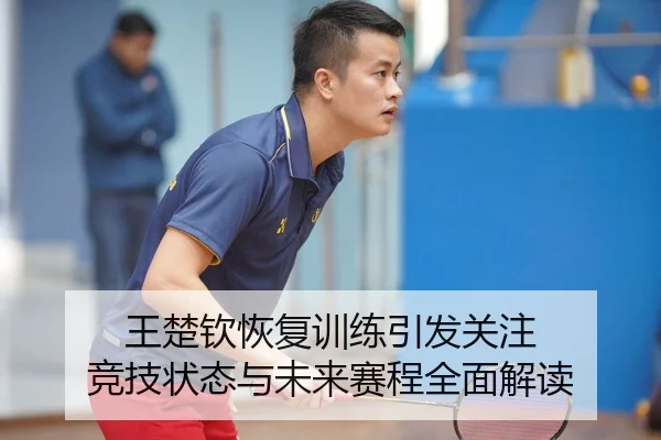 王楚钦恢复训练引发关注 竞技状态与未来赛程全面解读