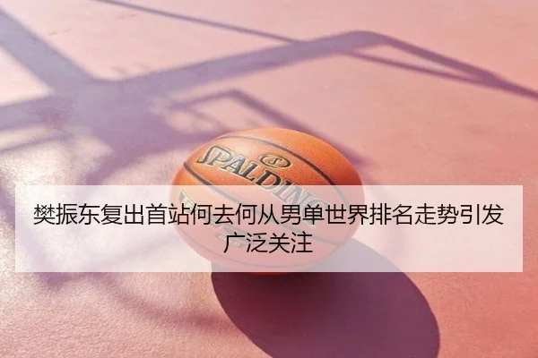 樊振东复出首站何去何从男单世界排名走势引发广泛关注